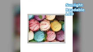 15 Inch Sunlight Readable LCD Panel